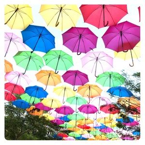 Meet your Posher, Paula